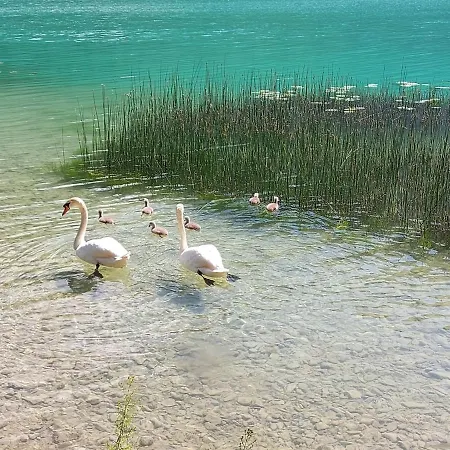 Woferlbauer * Au (Upper Austria)