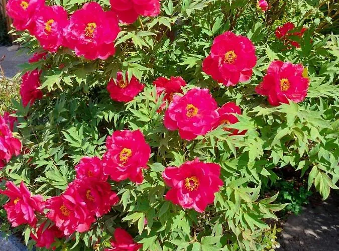 Woferlbauer Apartmán Au (Upper Austria)