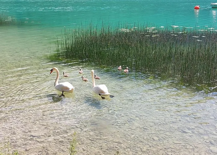 Woferlbauer * Au (Upper Austria)